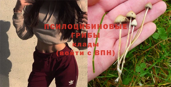 spice Шали
